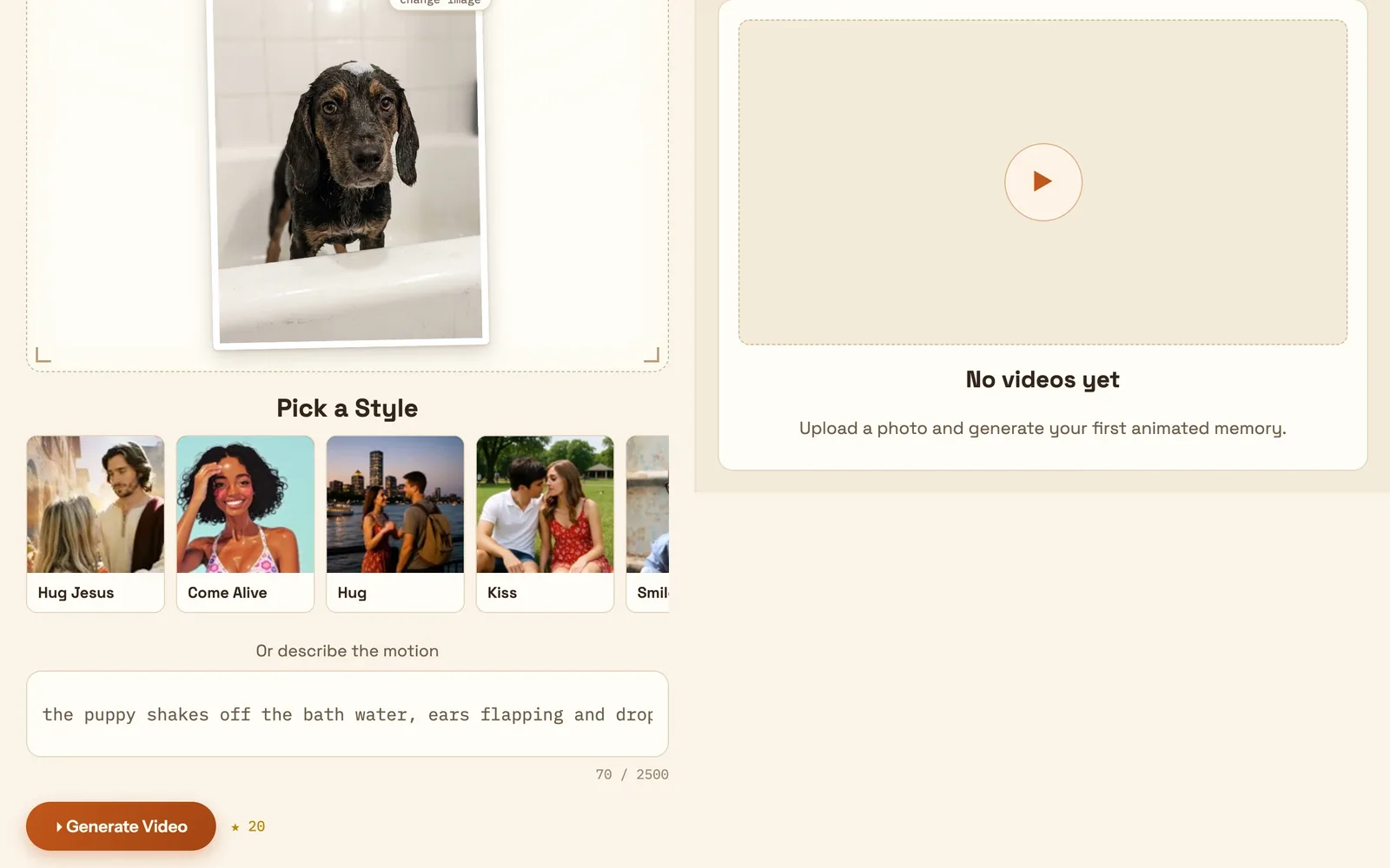 The web app with the motion typed into the prompt field, above the Generate Video button